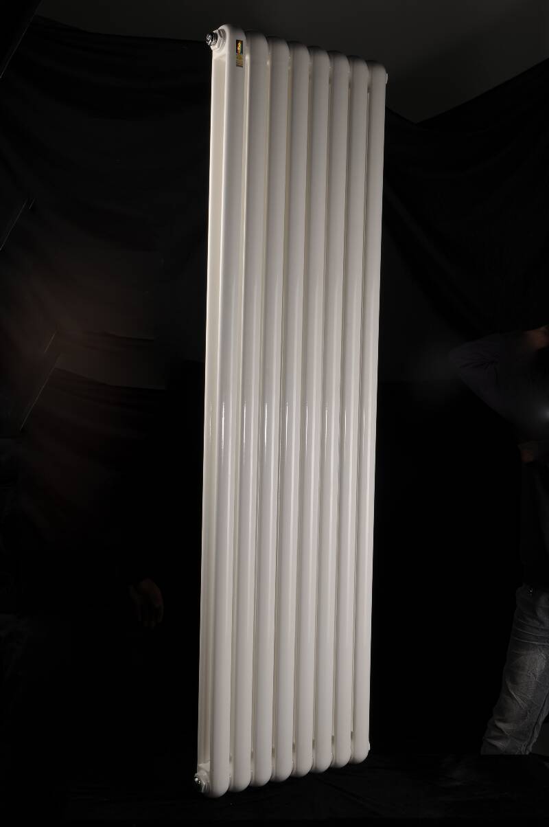 散熱器十大品牌金旗艦鋼制散熱器十大品牌在整合先進(jìn)品牌發(fā)展理念，帶動我國散熱器企業(yè)共同發(fā)展