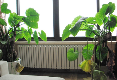 購(gòu)買暖氣片首要考慮的問題是安全