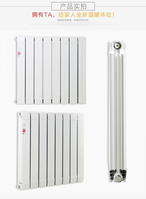 燃氣銅鋁復合暖氣片