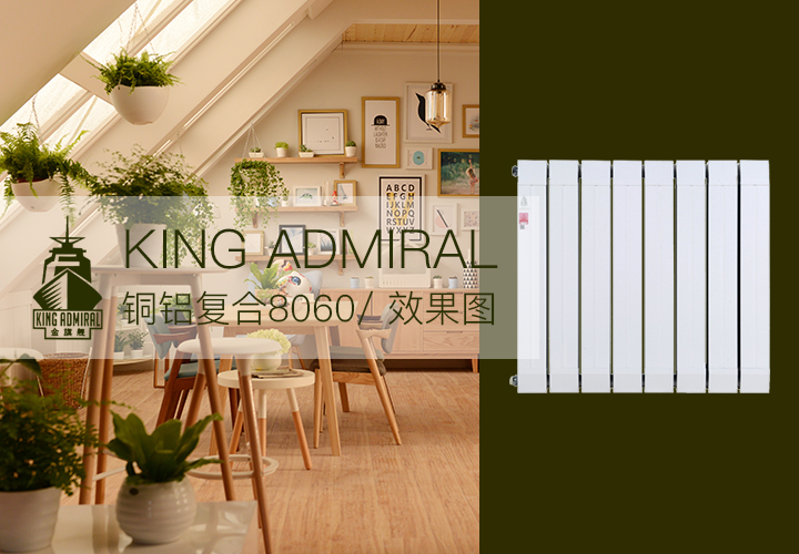 暖氣片十大品牌,銅鋁復(fù)合散熱器