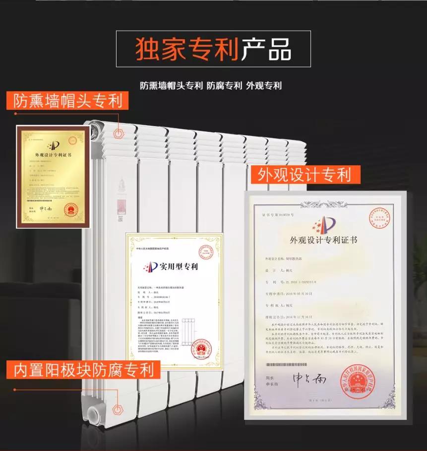 拓路前行，領跑未來：金旗艦洛陽新品推介會圓滿結束！